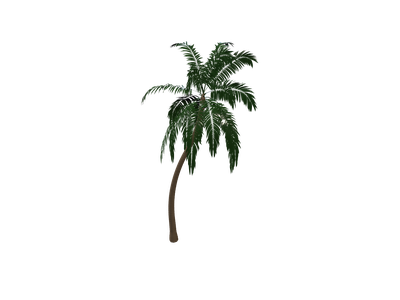 Palm Tree 3d Model Free Download